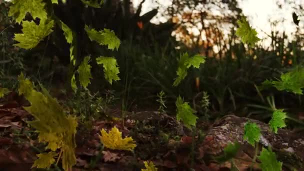 Animação Múltiplas Folhas Caindo Sobre Floresta Verde Natureza Outono Estações — Vídeo de Stock