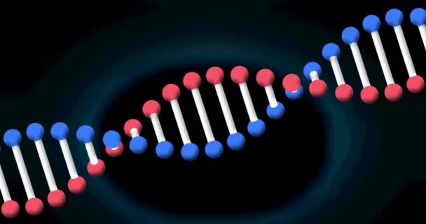 Animation Dna Strand Spinning Blue Background Science Research Concept Digitally — Stock Video