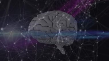 İnsan beynine ve siyah zemin üzerindeki ışık izlerine karşı kurulan bir ağ. küresel ağ oluşturma ve tıbbi araştırma teknolojisi kavramı