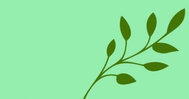 Yeşil arkaplanda kopyalama alanı olan yeşil yaprakların canlandırması. Doğa, tropikal bitki, yaz ve tatil konsepti dijital olarak üretilen video.