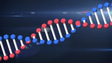 DNA dizilimi ve veri işleme animasyonu. küresel bilim, dijital arayüz ve veri işleme kavramı dijital olarak oluşturulmuş video.