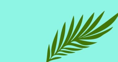 Mavi arkaplanda kopya alanı olan yeşil yaprakların animasyonu. Doğa, tropikal bitki, yaz ve tatil konsepti dijital olarak üretilen video.