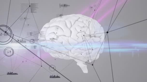 Jaringan Koneksi Dan Pengolahan Data Terhadap Otak Manusia Dan Jalur — Stok Video