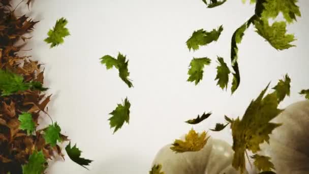 Анімація Декількох Зелених Листя Падають Білий Фон Природа Осінь Сезони — стокове відео