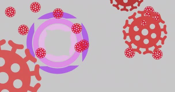 Animation Digital Covid Cells Moving Grey Background Global Coronavirus Pandemic — Stock Video