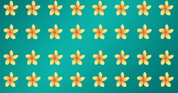 蓝色背景上一排排黄色花朵的动画 热带花卉 夏季及假日概念数码影片 — 图库视频影像