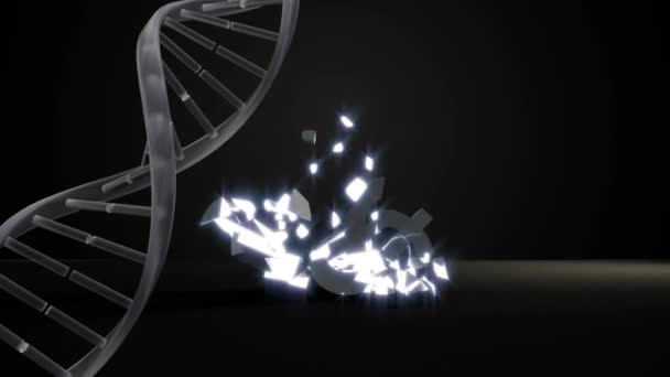 Dna Structure Spinning Dollar Currency Symbol Falling Breaking Black Background — Stok video