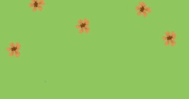 Çiçeklerin düşmesi üzerine hakların için savaşmanın animasyonu. Kız gücü, pozitif kadın gücü ve dijital olarak oluşturulan bağımsızlık kavramı.