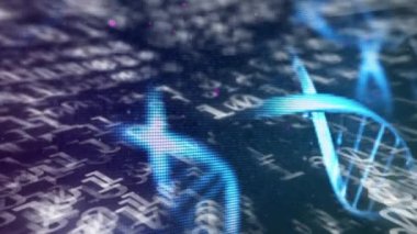 İkili kodlama üzerinde dönen DNA iplikçiklerinin animasyonu. küresel bilim, dijital arayüz ve veri işleme kavramı dijital olarak oluşturulmuş video.