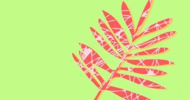 Animation of red leaves and copy space moving on green background. nature, plant, summer and holiday concept digitally generated video.