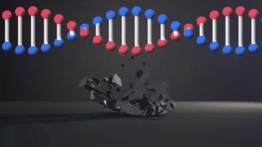 Dolar para birimi sembolü üzerinde dönen DNA yapısı gri arka plana düşüp kırılıyor. küresel ekonomi ve durgunluk kavramı