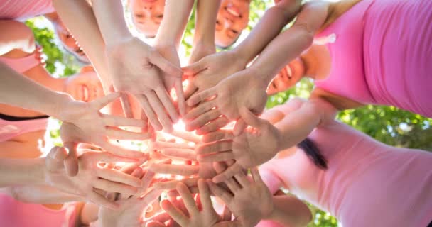 Diverse Gruppe Smilende Kvinder Rører Hænder Udendørs Solen Brystkræft Positiv – Stock-video