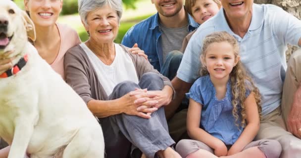 Animación Familia Feliz Sonriendo Juntos Aire Libre Familia Feliz Amor — Vídeos de Stock