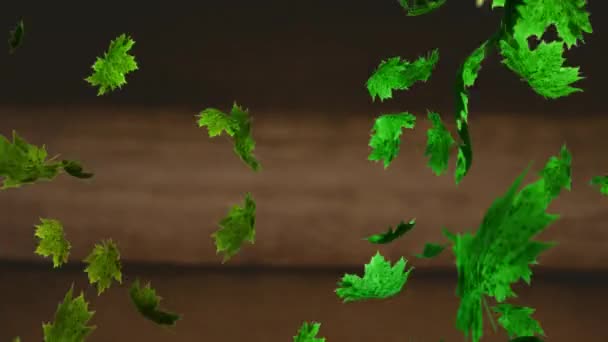 多片绿叶的动画落在褐色的背景上 秋天和季节概念数码制作的视频 — 图库视频影像