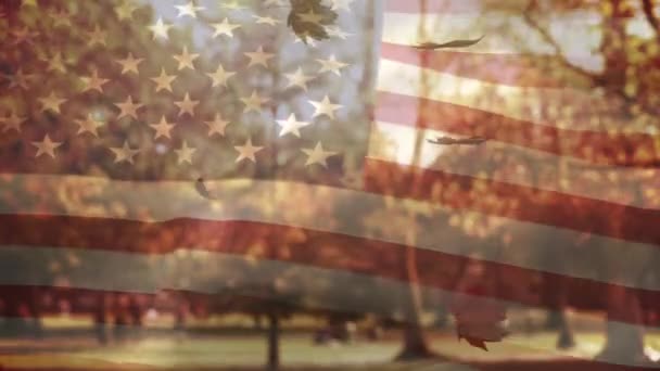 美国国旗和树叶飘落的动画 爱国主义 美国传统与自然概念 — 图库视频影像