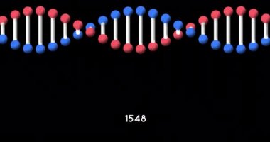 Siyah arka planda dönen DNA yapısı üzerinde artan sayıların dijital animasyonu. tıbbi araştırma ve bilim teknolojisi kavramı