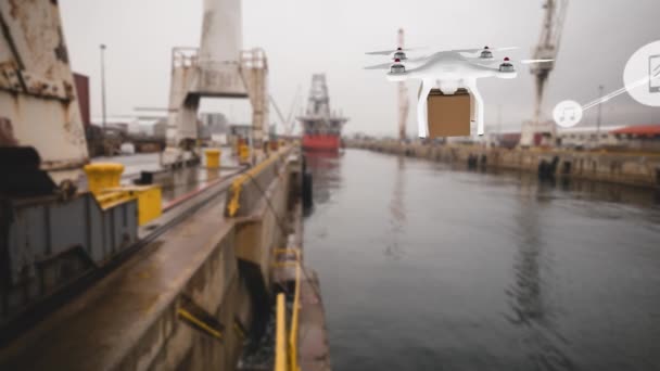与图标连接的网络动画 在带有邮包的无人机上传送 全球航运 数据处理和技术概念 — 图库视频影像