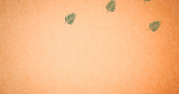 Animation Green Leaves Orange Background Nature Tropical Plant Summer Holiday — Stock videók