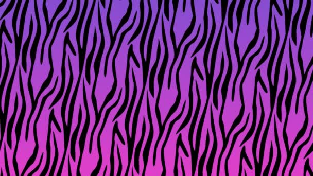 Animation Black Tiger Stripe Pattern Pink Background Movement Energy Colour — Stock Video