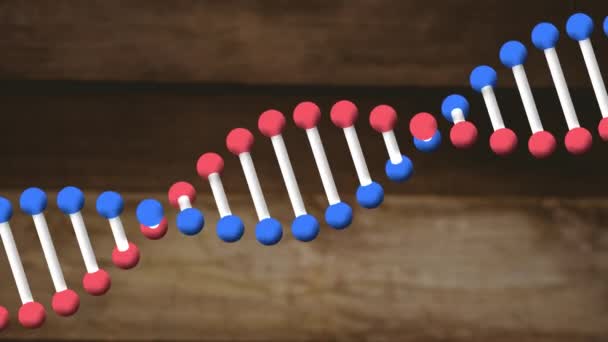 Animation Dna Strand Spinning Wooden Background Science Research Concept Digitally — Stock Video