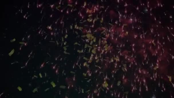 Animation Fireworks Confetti Black Background New Years Eve Party Celebration — Stock Video