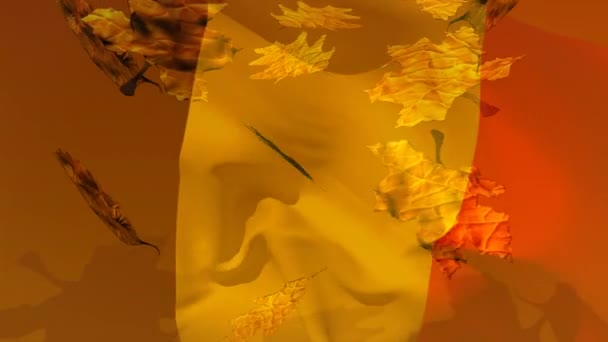 ベルギーの国旗と葉が落下するアニメーション 愛国心 お祝い 自然をデジタルで表現した — ストック動画