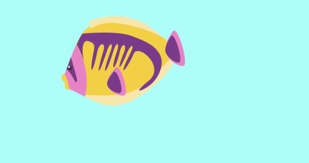 Animation Poissons Tropicaux Avec Espace Copie Sur Fond Bleu Nature — Video