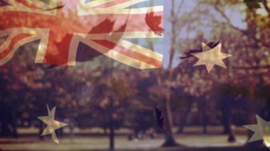 Avustralya bayrağı ve yapraklarının düşüşü. Vatanseverlik, kutlama, gelenek ve doğa konsepti dijital olarak oluşturulmuş video.