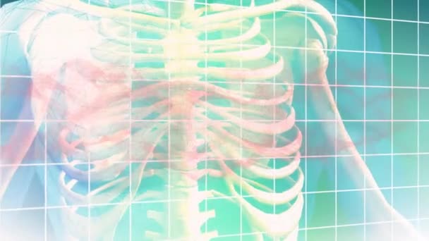 Animation Human Skeleton Dna Strand Spinning Grid Global Science Digital — Vídeos de Stock