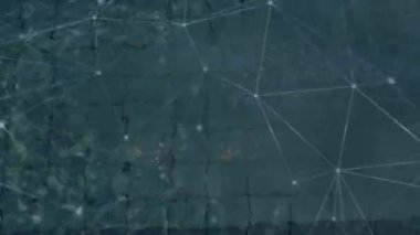 Yüzen kadın yüzücünün üzerindeki bağlantı ağının animasyonu. global spor, fitness ve veri işleme konsepti dijital olarak oluşturulmuş video.