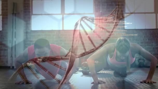 Spor Salonunda Şınav Çeken Melez Bir Çifte Karşı Tıbbi Veri — Stok video
