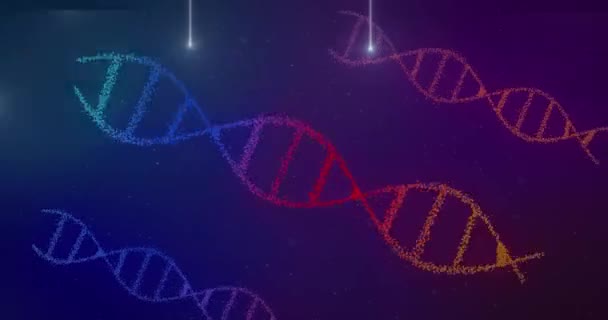 Animation Dna Strands Spinning White Glowing Lines Science Research Concept — Stock Video