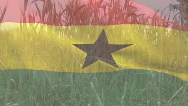 농작물의 근접에 대비하여 깃발을 흔드는 디지털 국가적 — 비디오