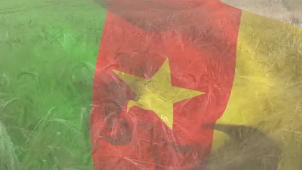 Digital Composition Waving Cameroon Flag Close Crops Farm Field National — Stock Video