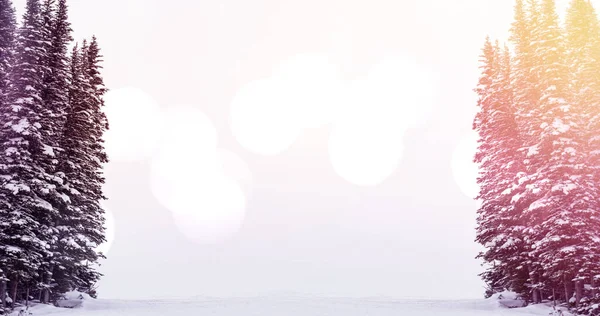 Изображение Пейзажа Зимних Пейзажей Светлыми Пятнами Еловыми Деревьями Покрытыми Снегом — стоковое фото