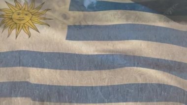 Tarım alanında dalgalanan uruguay bayrağının animasyonu. küresel tarım ve tarım kavramı dijital olarak üretilen video.