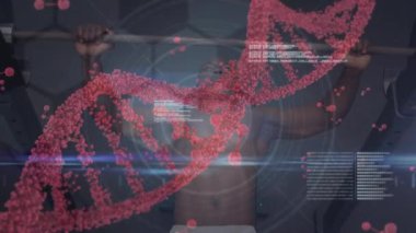 Spor salonunda egzersiz yapan kaslı adamın üzerinde DNA ipliği. global spor, fitness ve veri işleme konsepti dijital olarak oluşturulmuş video.