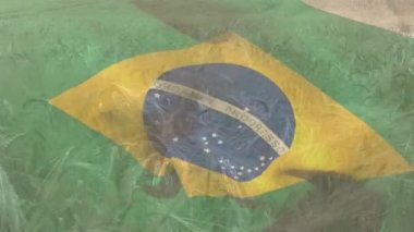 Tarladaki ekinlere karşı Brezilya bayrağı sallamanın dijital bileşimi. ulusal tarım kavramı