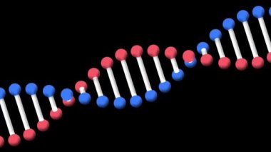 Siyah arka planda dönen 3D model DNA ipliğinin animasyonu. küresel tıbbi araştırma teknolojisi ve dijital arayüz konsepti, dijital olarak oluşturulmuş video.