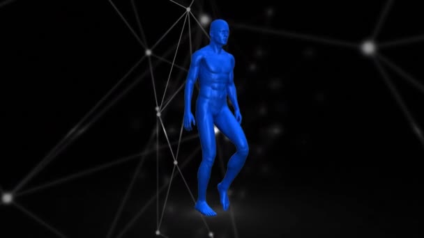 Cyfrowa Animacja Modelu Ludzkiego Ciała Chodzącego Sieci Połączeń Czarnym Tle — Wideo stockowe