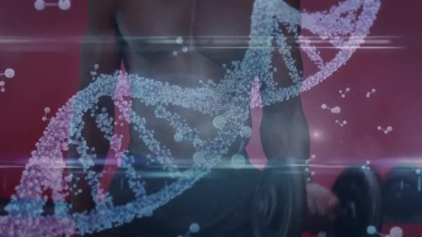 Animation Des Dna Strandes Über Den Starken Mann Der Der — Stockvideo