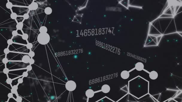 Анімація Хімічних Формул Над Мережею Язків Ланцюжком Дани Концепція Науки — стокове відео
