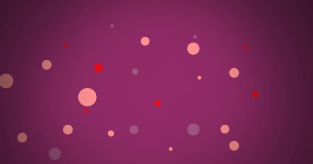Анимация Ярких Цветовых Точек Движущихся Фиолетовому Фону Шаблон Цвет Концепция — стоковое видео