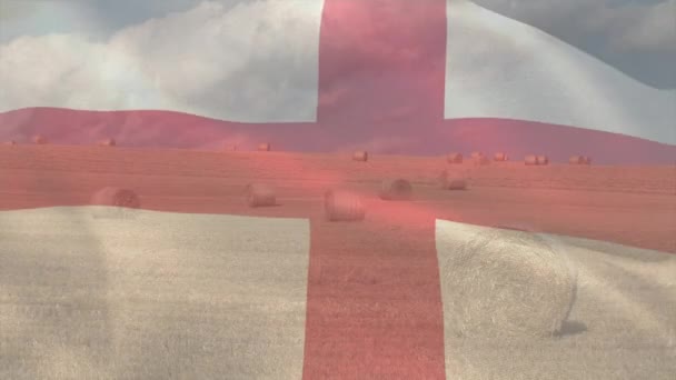 Animacja Flagi Anglii Machającej Nad Polem Rolniczym Globalne Rolnictwo Koncepcja — Wideo stockowe