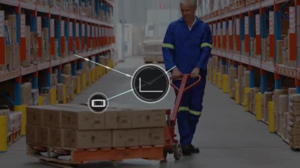 Network Digital Icons Rear View Senior Male Worker Pulling Pallet — Stock Video