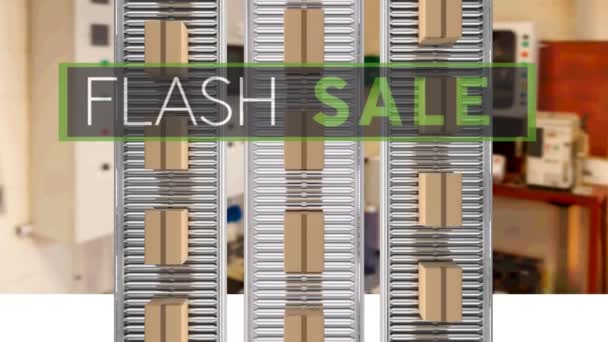 Flash Sale Text Banner Multiple Delivery Boxes Conveyer Belt Factory — Stock Video