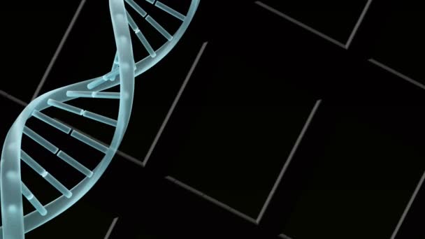 Digital Animation Dna Structure Spinning White Lines Black Background Medical — Stock Video