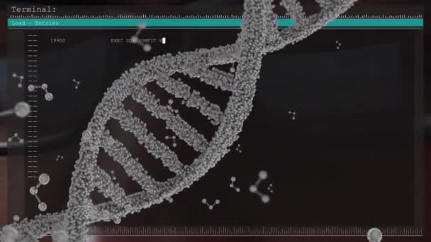 Animation Des Dna Strangs Der Sich Über Die Datenverarbeitung Dreht — Stockvideo