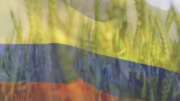 Digitální Složení Vlající Kolumbijské Vlajky Proti Uzavírání Polí Polích Národní — Stock video