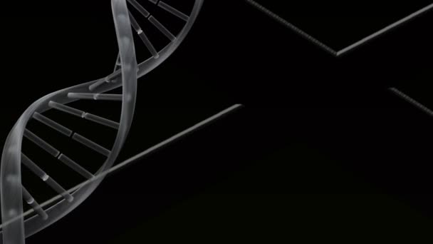 Digital Animation Dna Struktur Snurrar Mot Vita Linjer Svart Bakgrund — Stockvideo